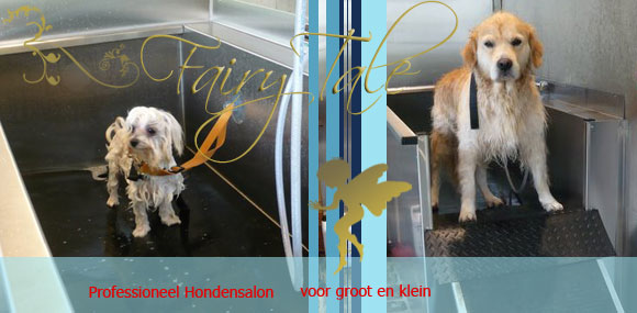 grote en kleine honden